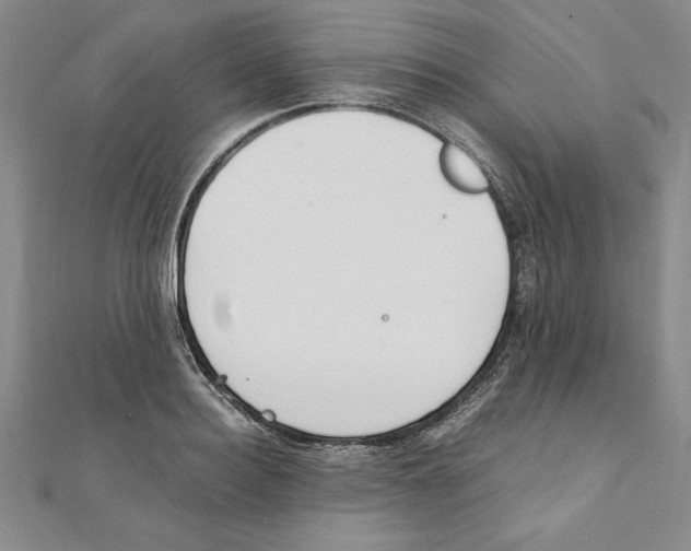 X0000111210940200907291248