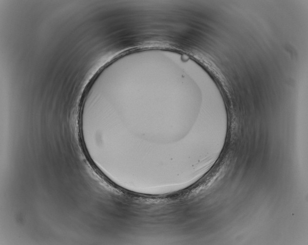 X0000111210941200907291248