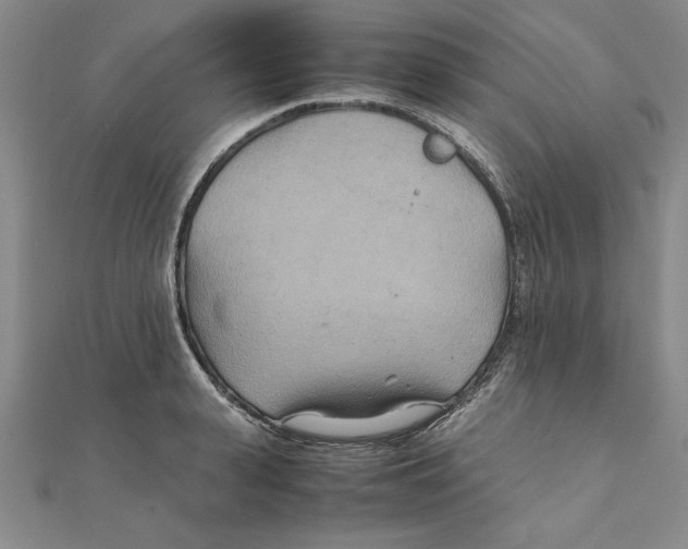 X0000111210943200907291248