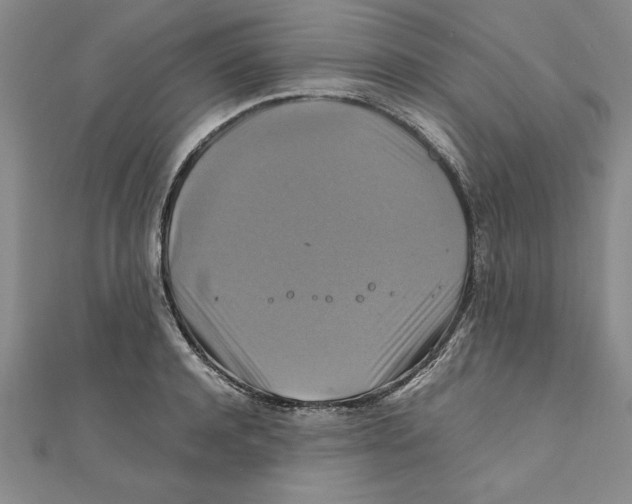 X0000111210944200907291248