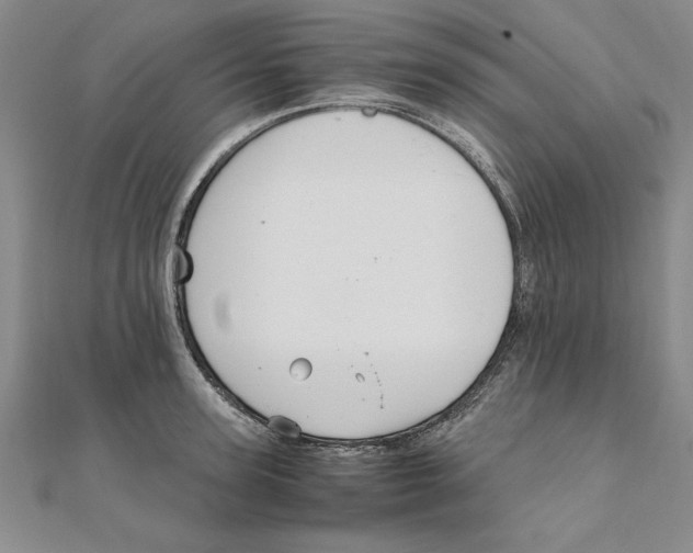 X0000111210947200907291248