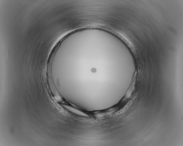 X0000111210948200907291248