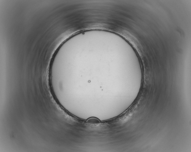 X0000111210949200907291248