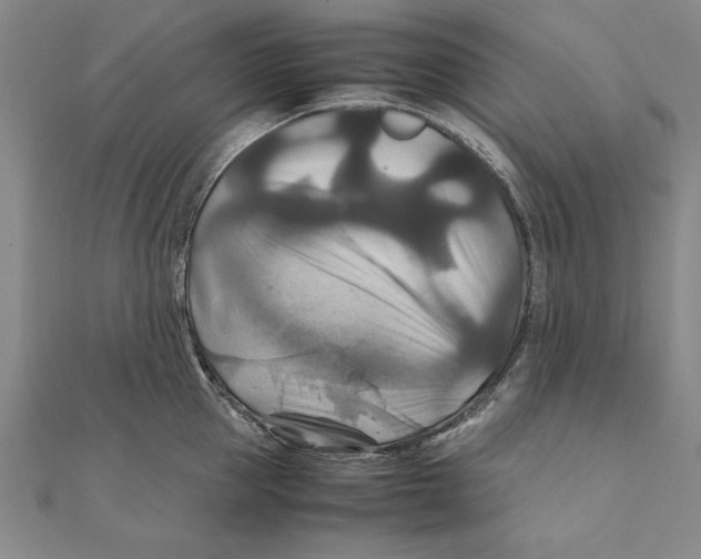 X0000111210953200907291248