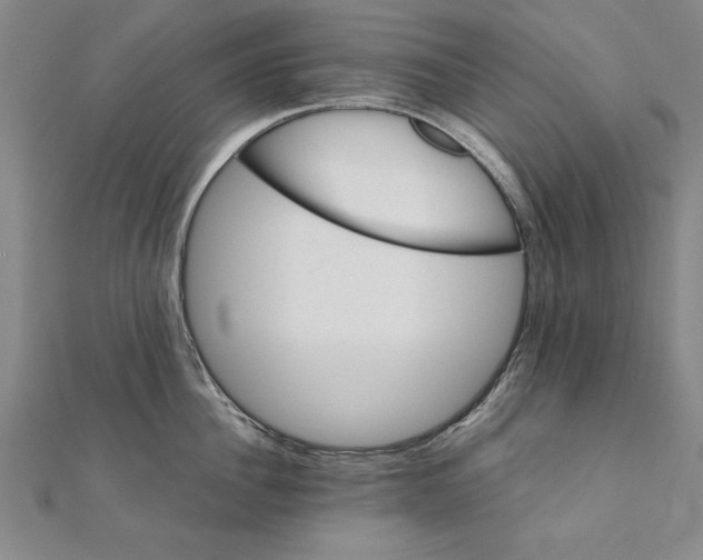 X0000111210956200907291248