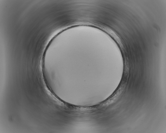 X0000111210958200907291248