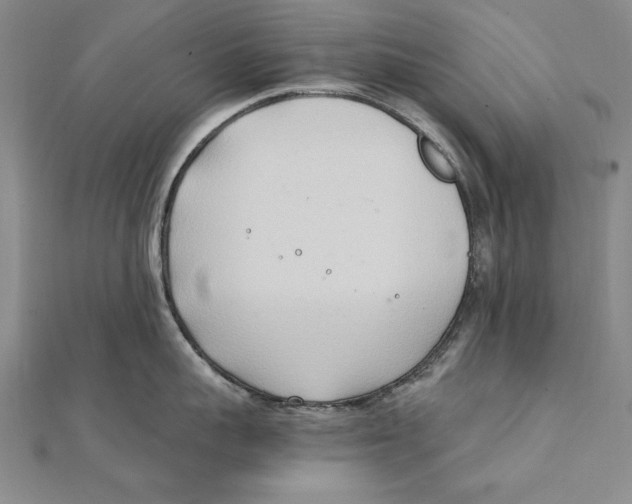 X0000111210959200907291248