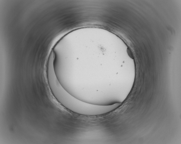 X0000111210960200907291248