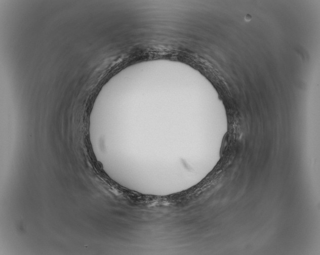 X0000111210961200907291248