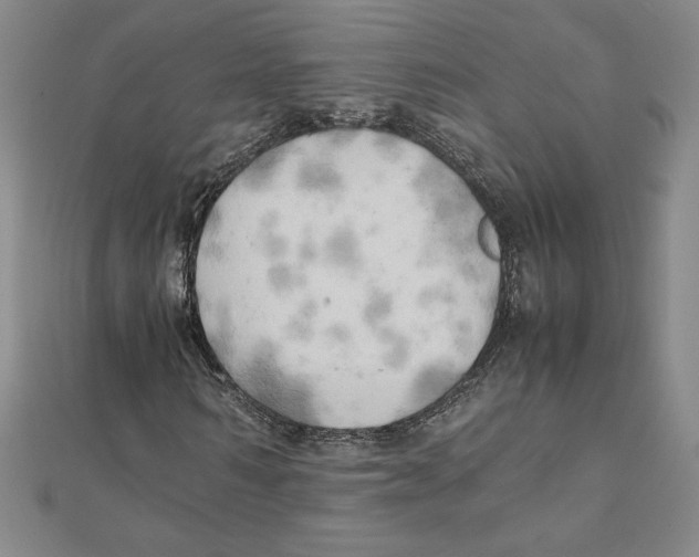 X0000111210962200907291248