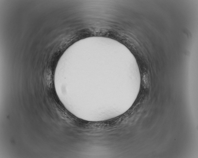 X0000111210963200907291248