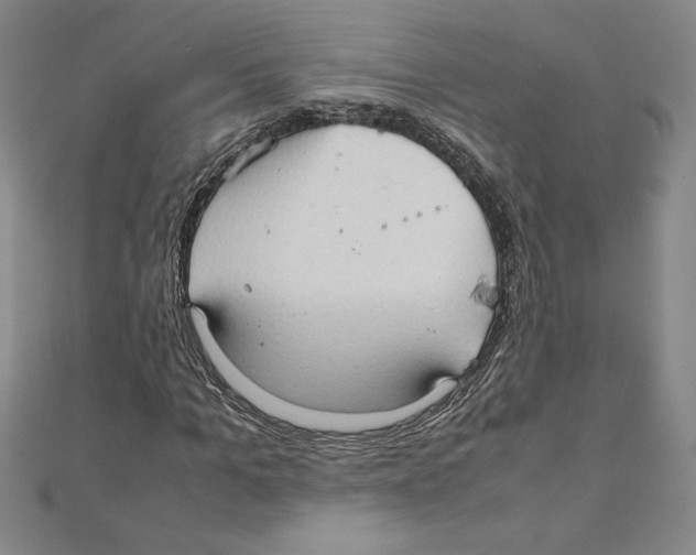 X0000111210965200907291248