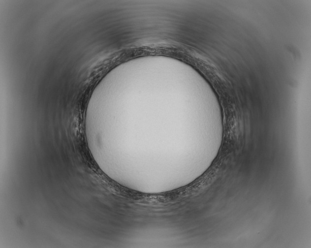 X0000111210966200907291248