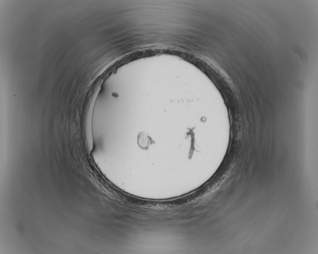 X0000111210969200907291248