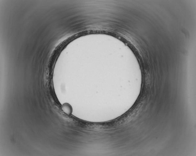 X0000111210971200907291248