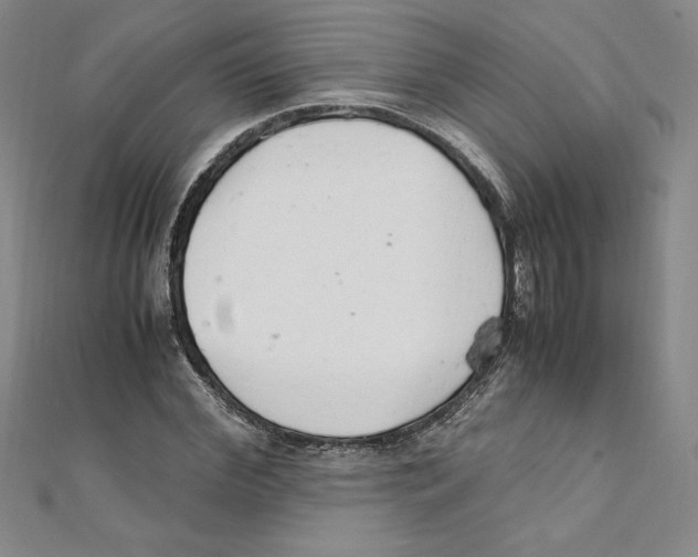 X0000111210972200907291248