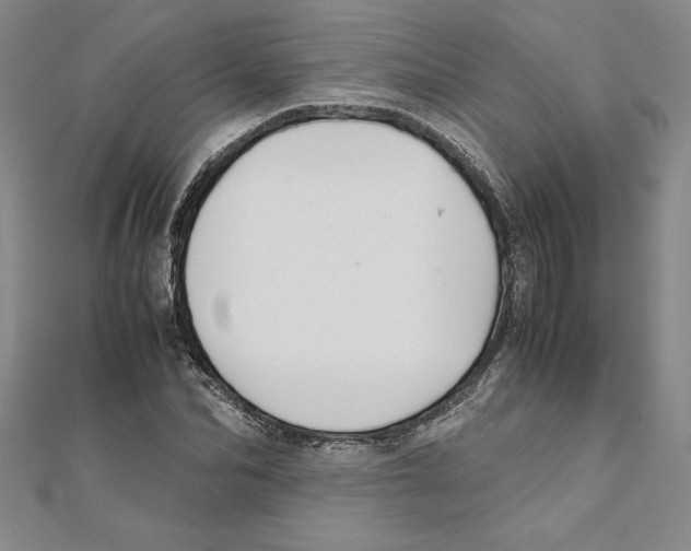 X0000111210974200907291248