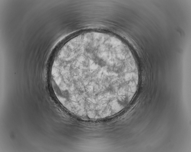 X0000111210975200907291248