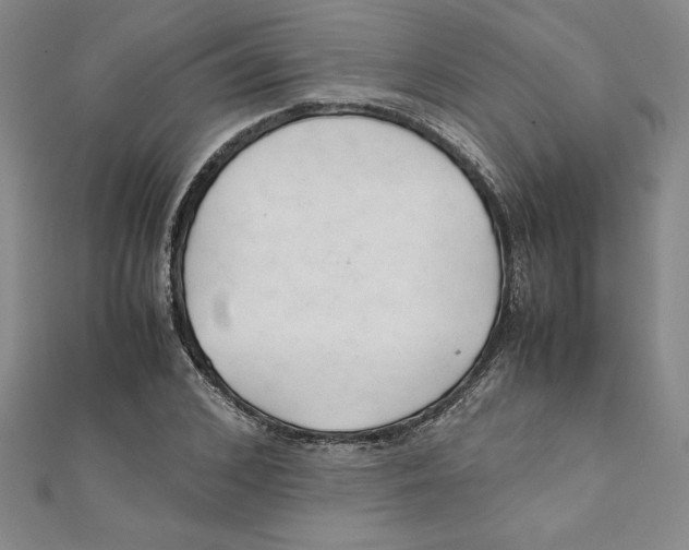 X0000111210976200907291248