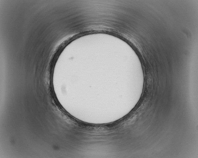 X0000111210979200907291248