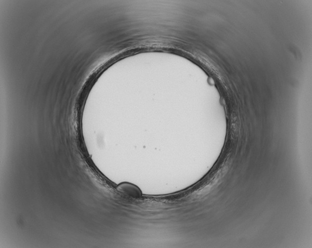 X0000111210981200907291248