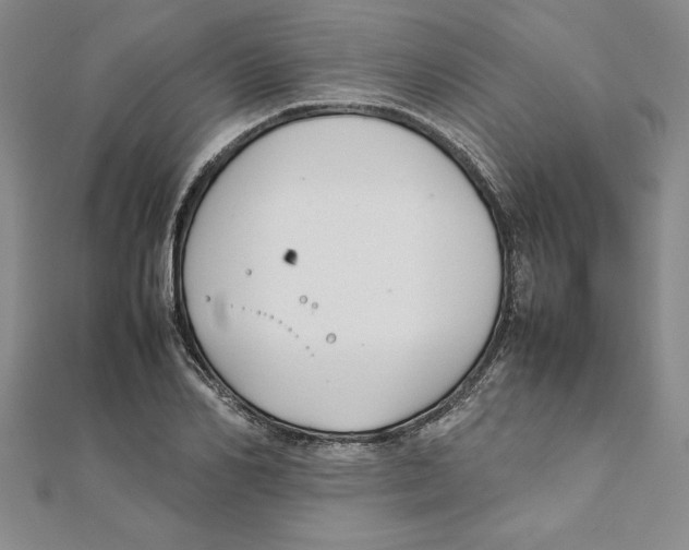 X0000111210982200907291248