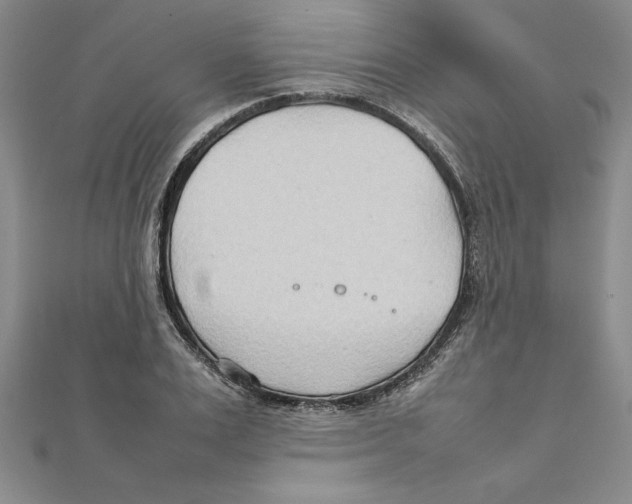 X0000111210983200907291248