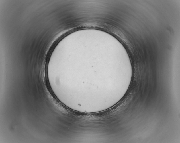 X0000111210984200907291248