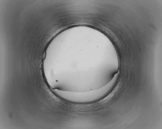 X0000111210985200907291248