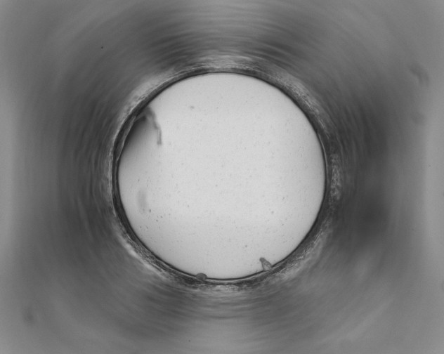 X0000111210986200907291248