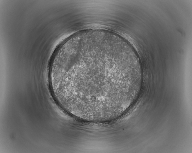 X0000111210987200907291248