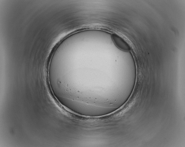 X0000111210989200907291247