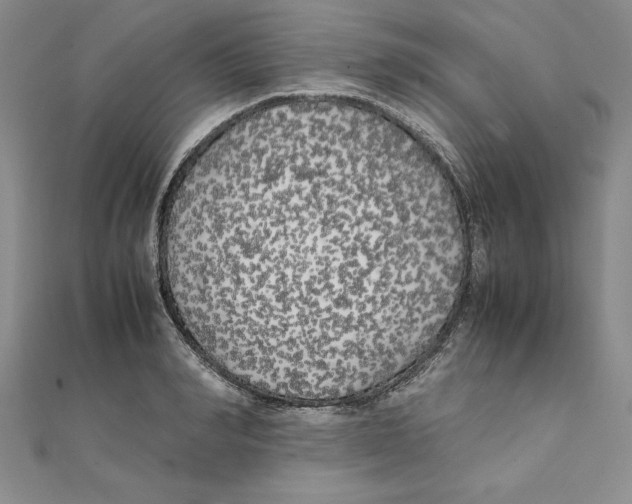 X0000111210990200907291247