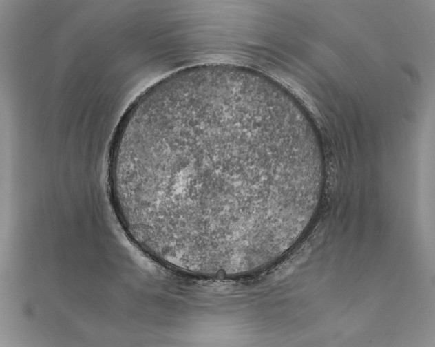 X0000111210991200907291247