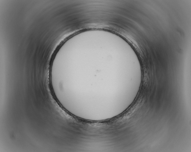 X0000111210992200907291247