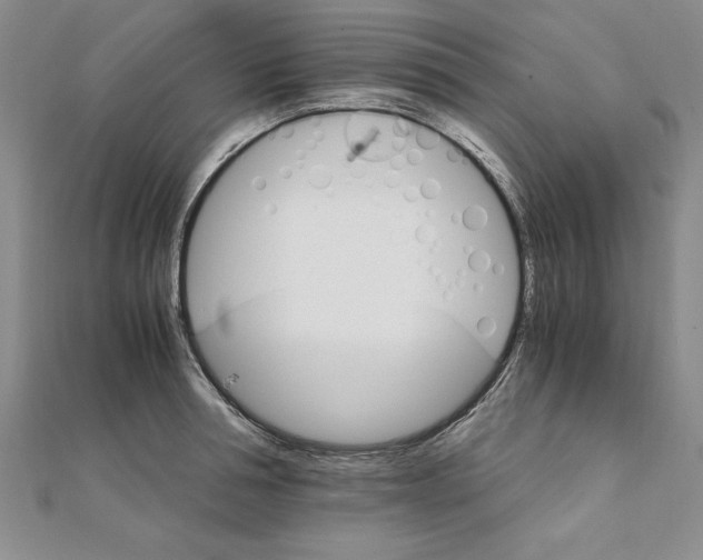 X0000111210994200907291247