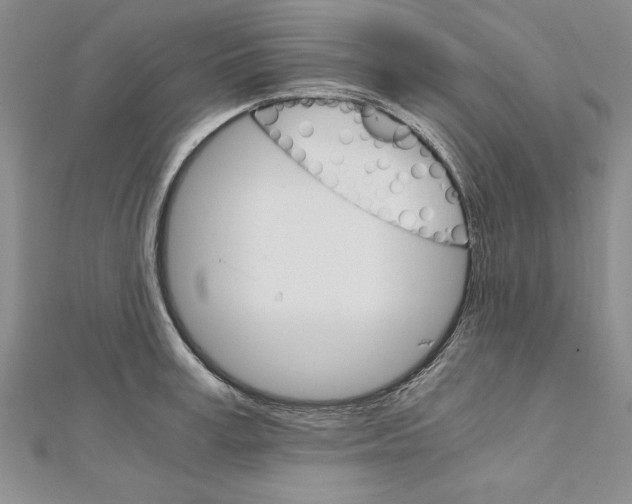 X0000111210995200907291247