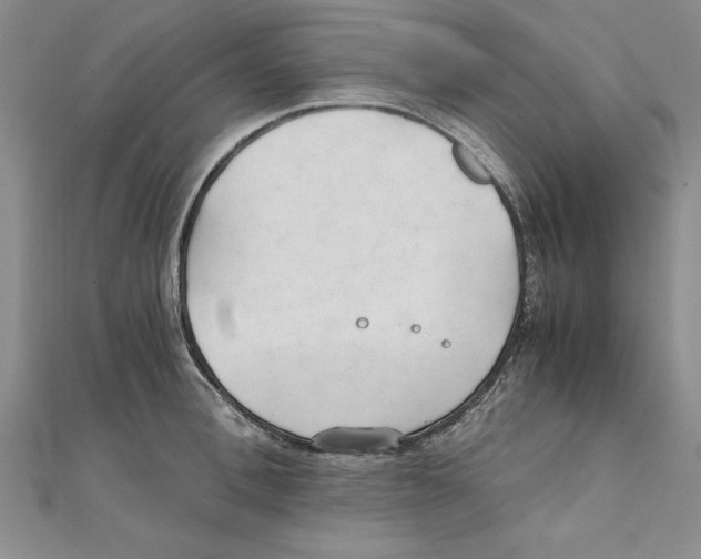 X0000111210996200907291247