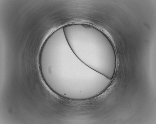 X0000111210997200907291247