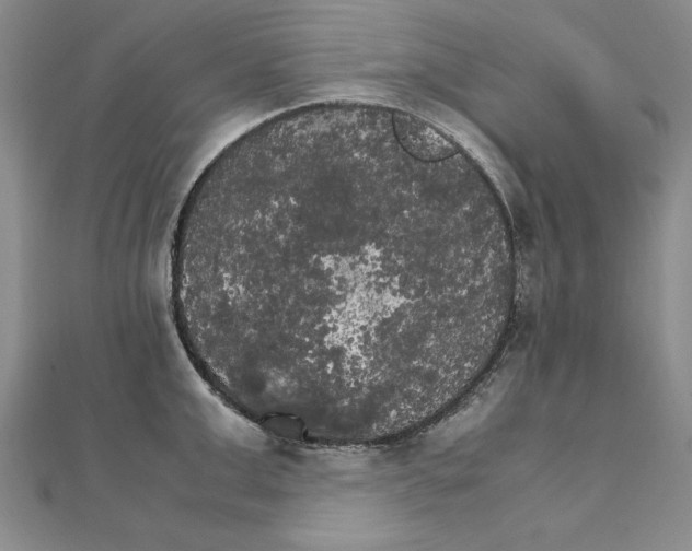 X0000111210999200907291247