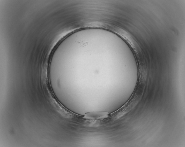 X0000111211000200907291247