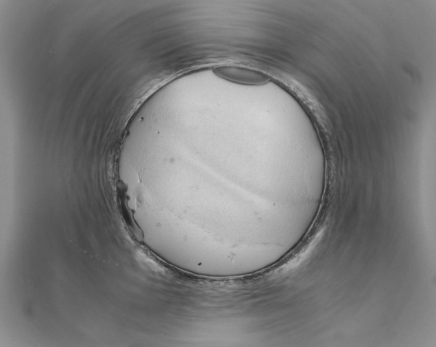 X0000111211001200907291247