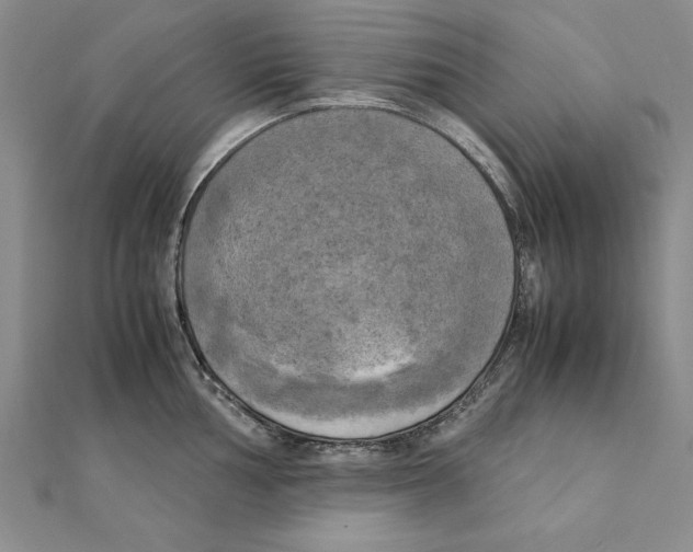 X0000111211002200907291247