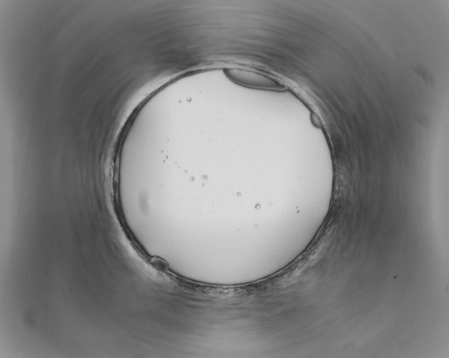 X0000111211003200907291247