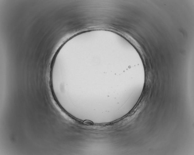 X0000111211005200907291247