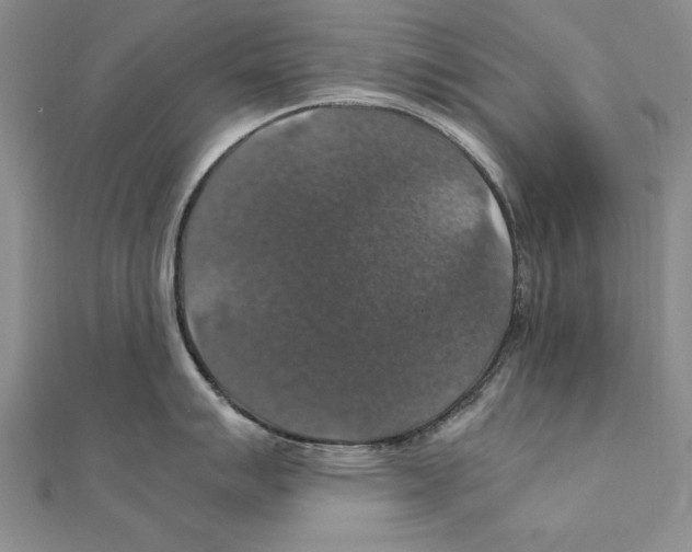 X0000111211007200907291247