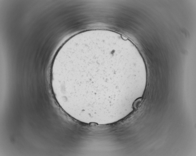 X0000111211008200907291247