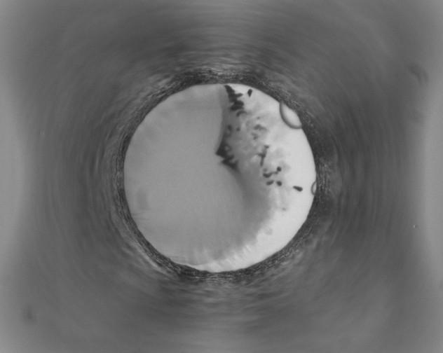 X0000111211009200907291246