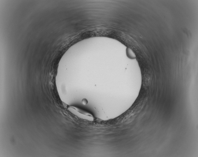 X0000111211010200907291246