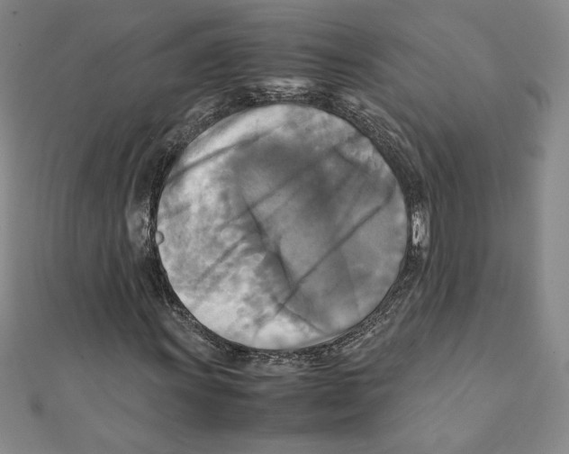 X0000111211011200907291246